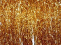 F4 gold fringe