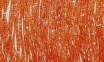 F4 gold fringe