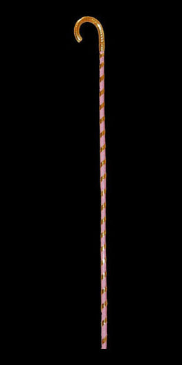 Cane- Egyptian Saidi