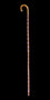 Cane- Egyptian Saidi